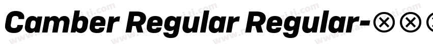 Camber Regular Regular字体转换